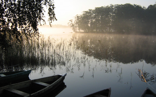 22_Bridvaišio ež..jpg